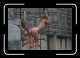 mere courage 038 * 3504 x 2336 * (1.65MB)